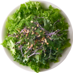 アクアモグリーンサラダ